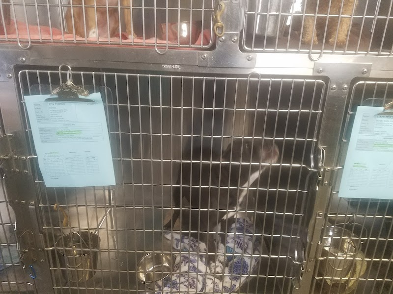 VCA Laurelhurst Animal Hospital