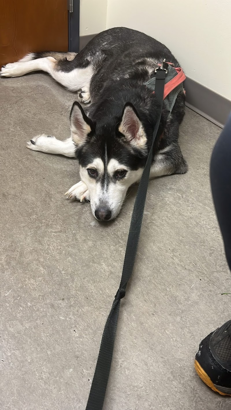 VCA Laurelhurst Animal Hospital