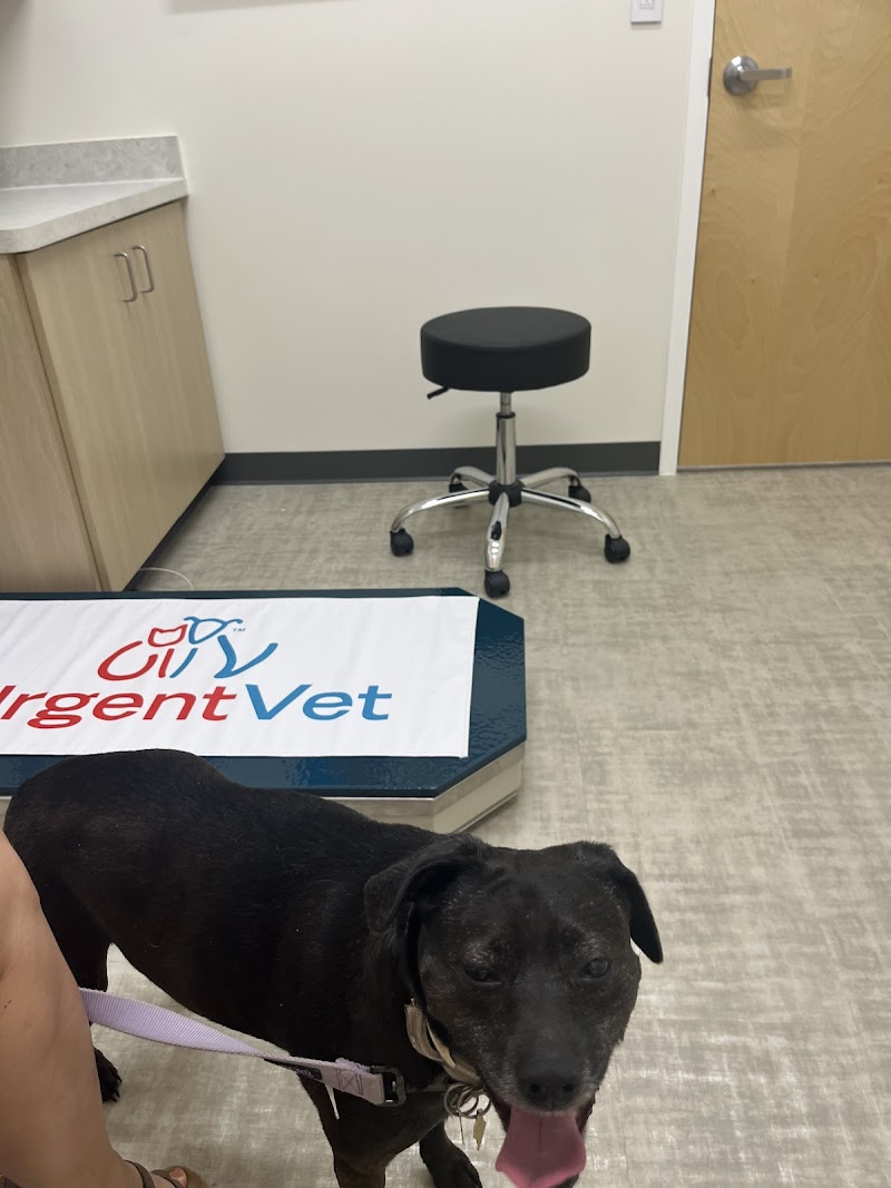 UrgentVet
