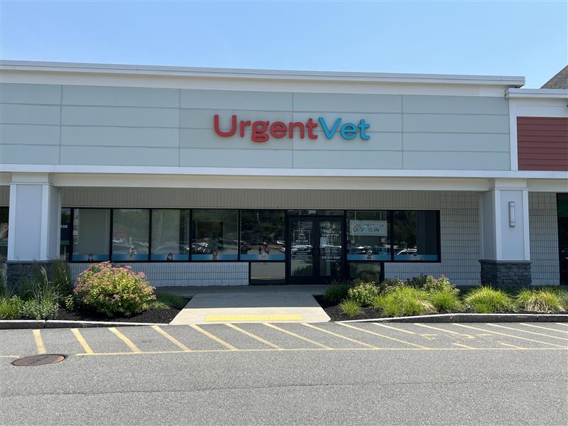 UrgentVet - Westford