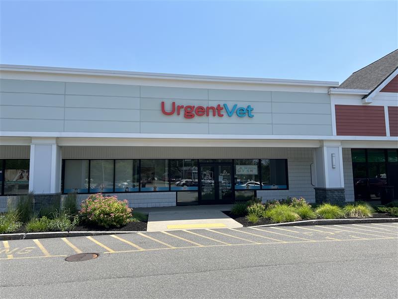 UrgentVet