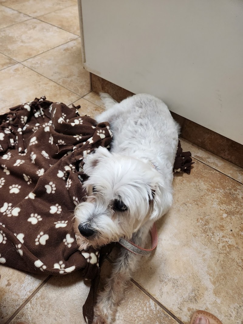 Country Hills Veterinary Clinic