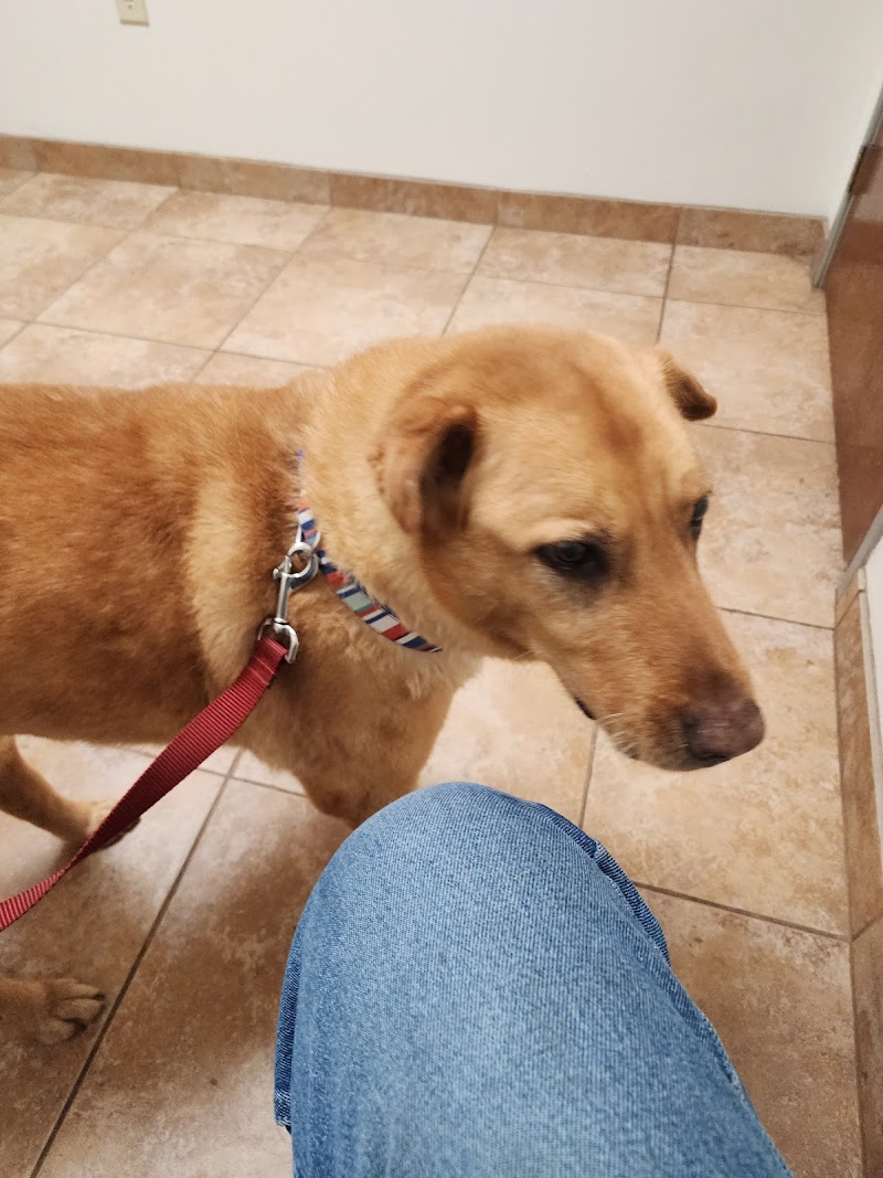 Country Hills Veterinary Clinic