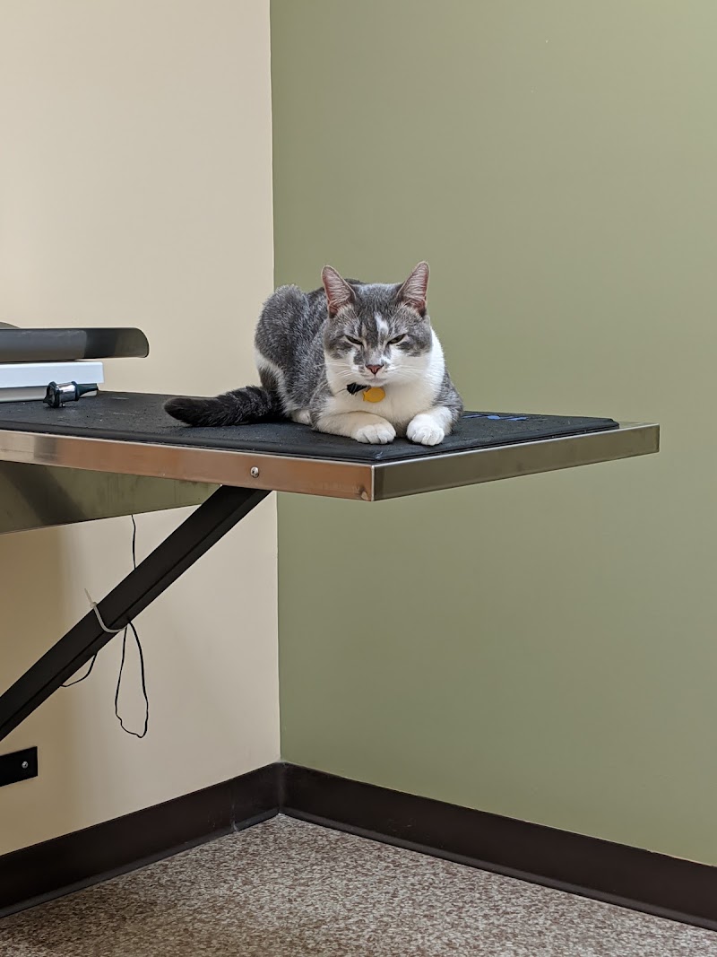Ark Pet Hospital