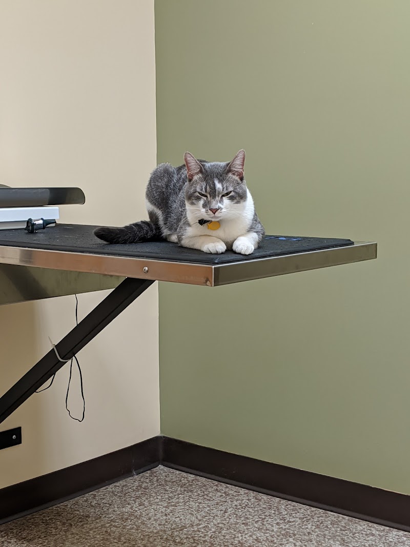 Ark Pet Hospital