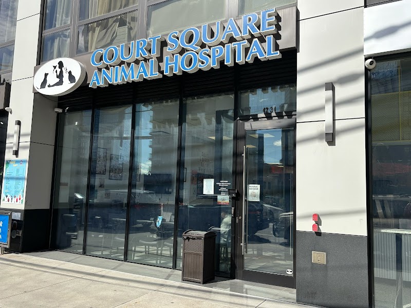 Court Square Animal Hospital