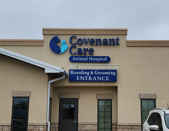 Covenant Care Animal Hospital - Leon Valley