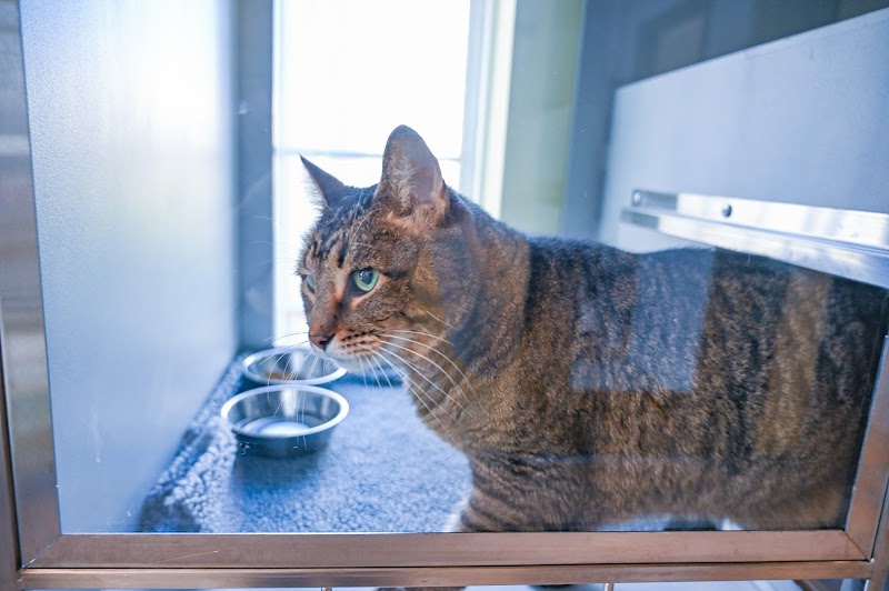 Covenant Care Animal Hospital