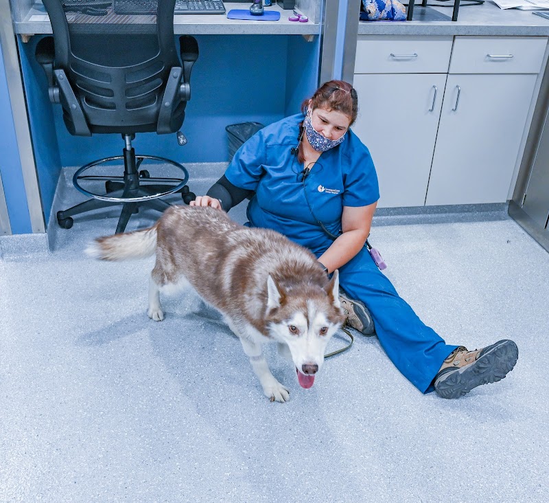Covenant Care Animal Hospital
