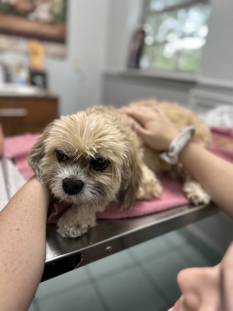 Veterans Memorial Drive Animal Hospital
