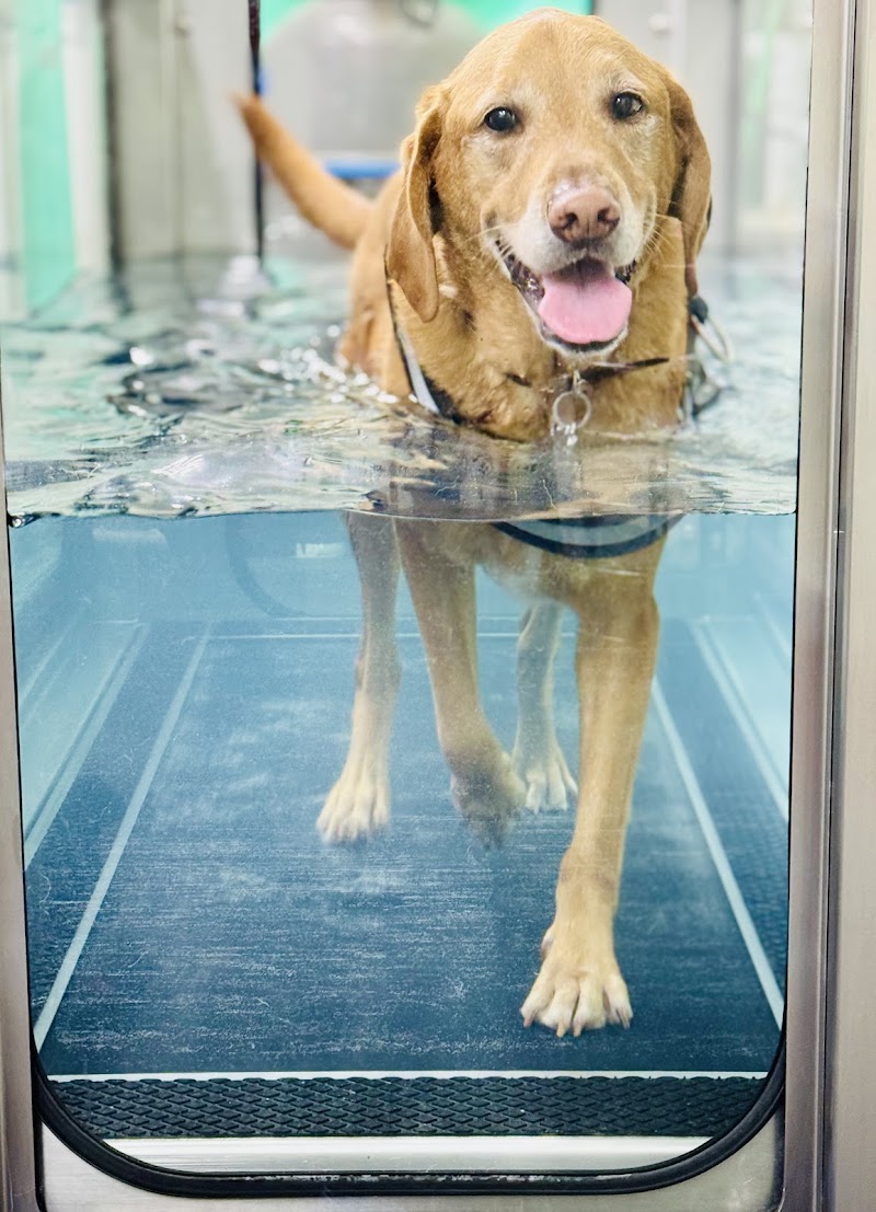 Veterans Memorial Drive Animal Hospital