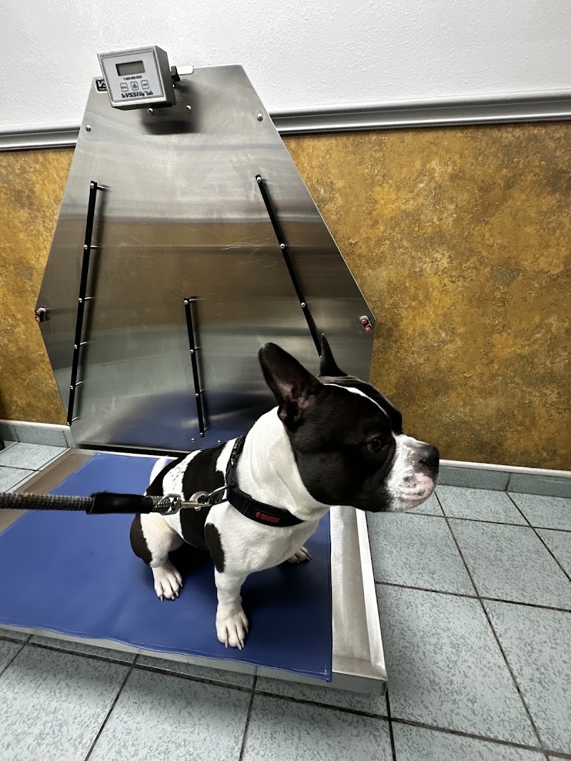 Veterans Memorial Drive Animal Hospital