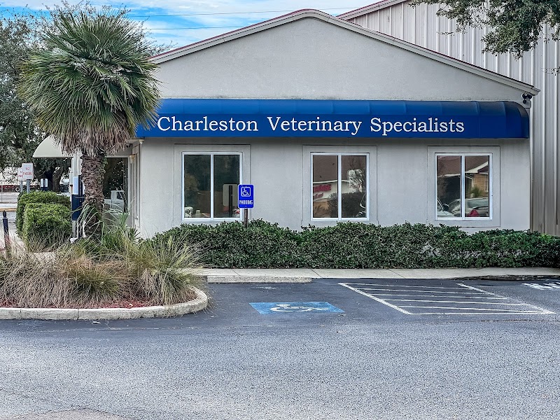 Charleston Veterinary Cardiology