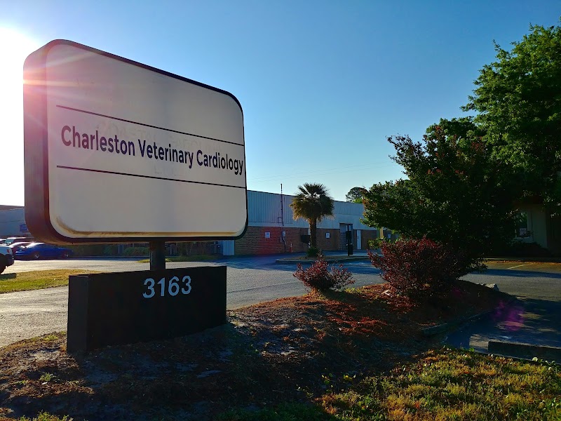 Charleston Veterinary Cardiology