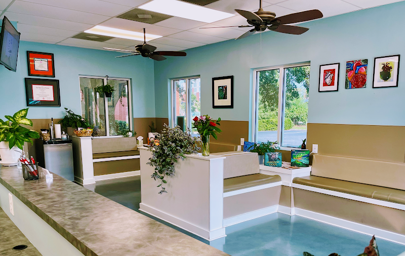 Charleston Veterinary Cardiology