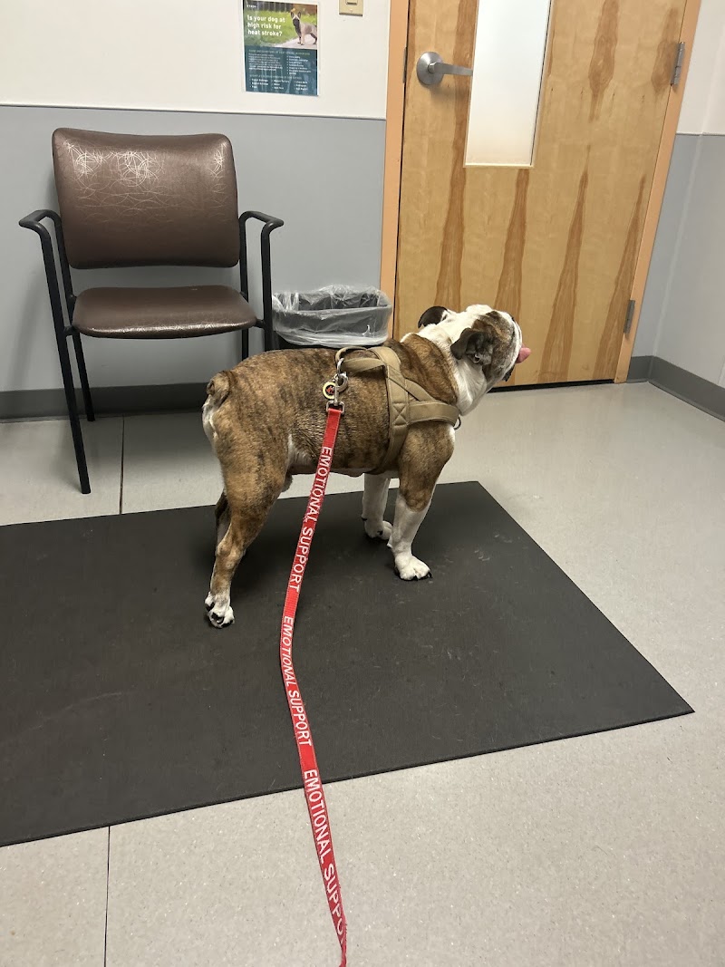 Animal Specialty Center