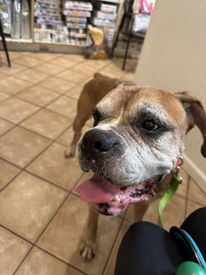 Rivergate Veterinary Clinic