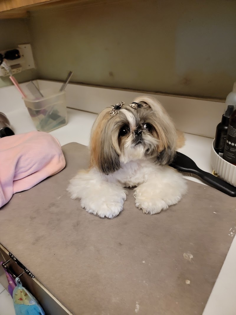 Rivergate Veterinary Clinic