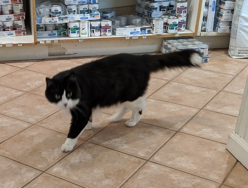 Rivergate Veterinary Clinic