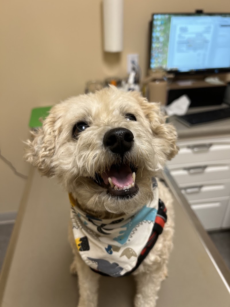 Rivergate Veterinary Clinic