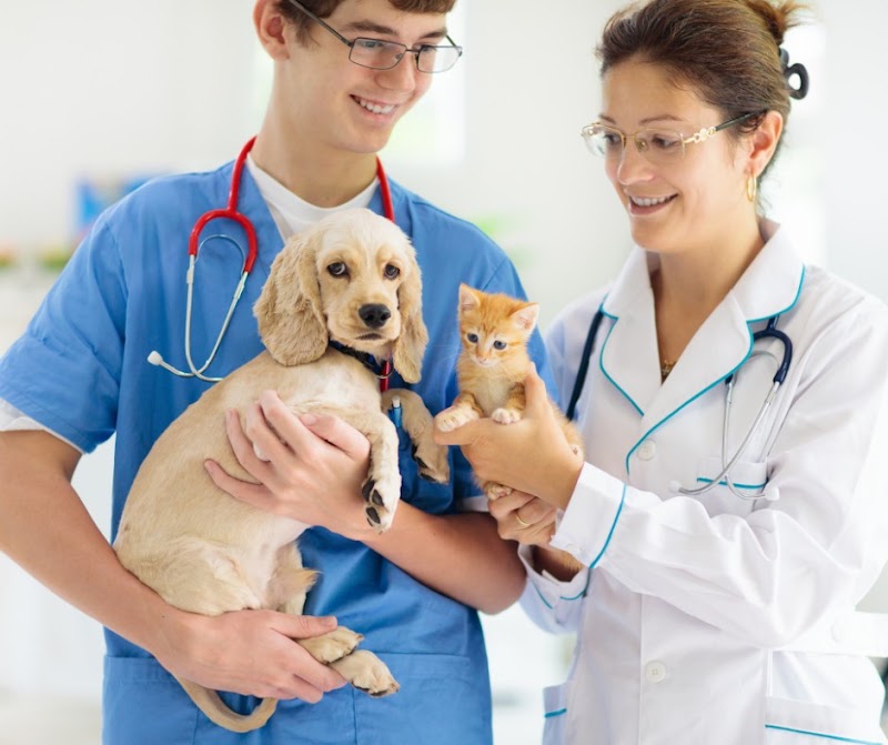 Veterinary Emergency, Critical Care & Referral Center - Newington
