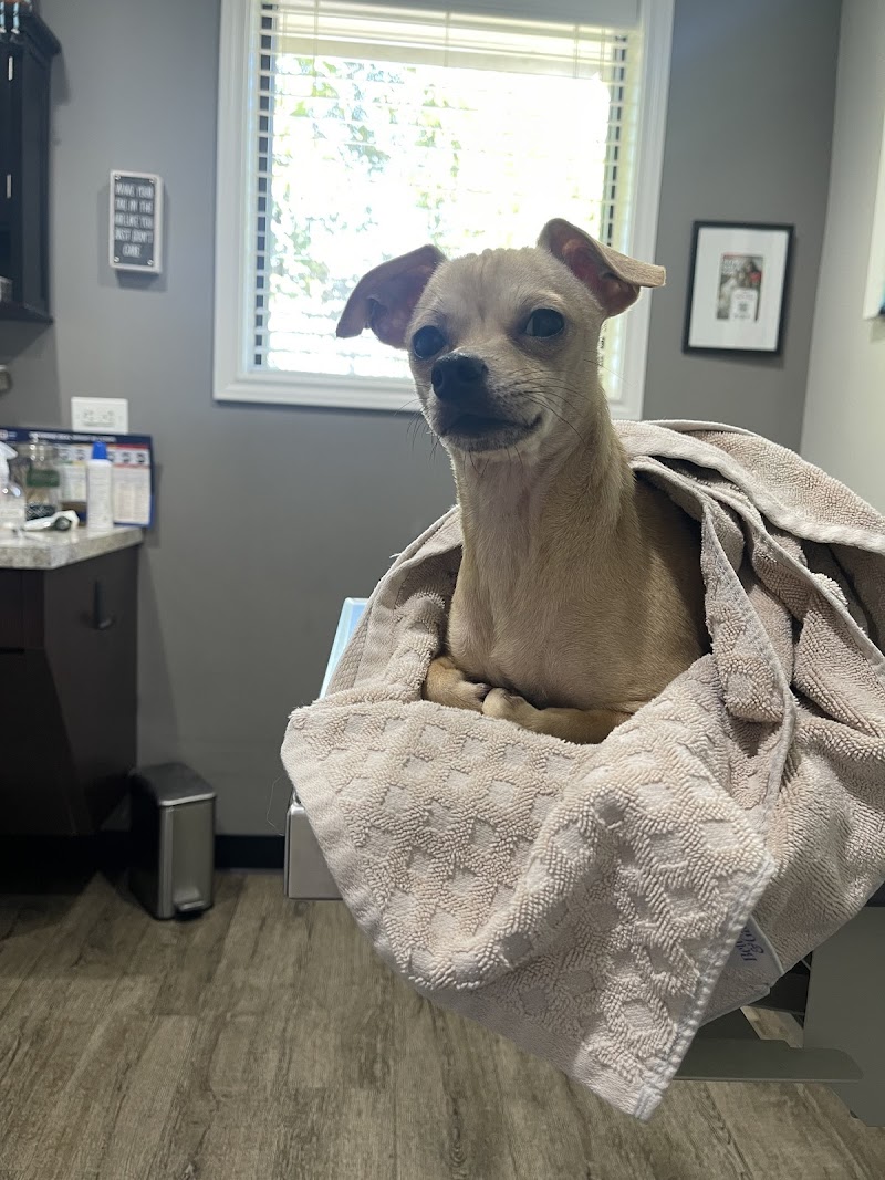 Bellaire-Richmond Pet Hospital