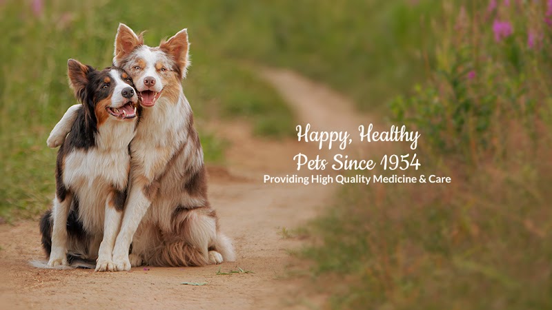 Bellaire-Richmond Pet Hospital