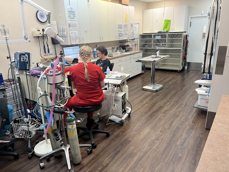 Companion Animal Veterinary Hospital