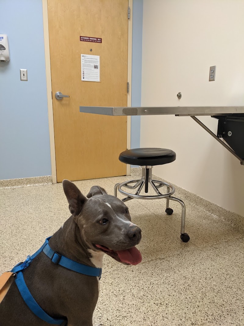 Carolina Veterinary Specialists Matthews