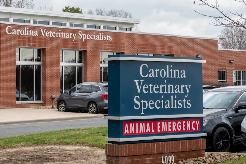 Carolina Veterinary Specialists Matthews - Matthews