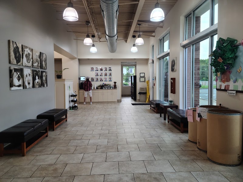 Carolina Veterinary Specialists Matthews