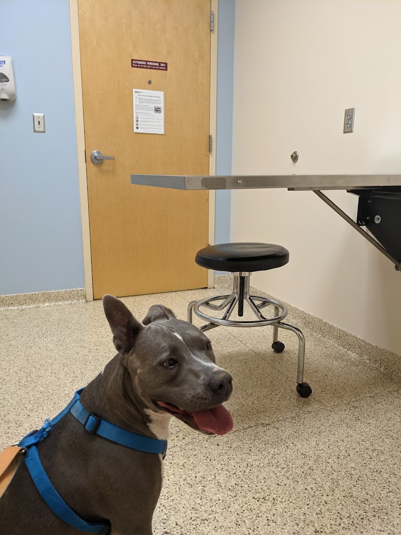 Carolina Veterinary Specialists Matthews