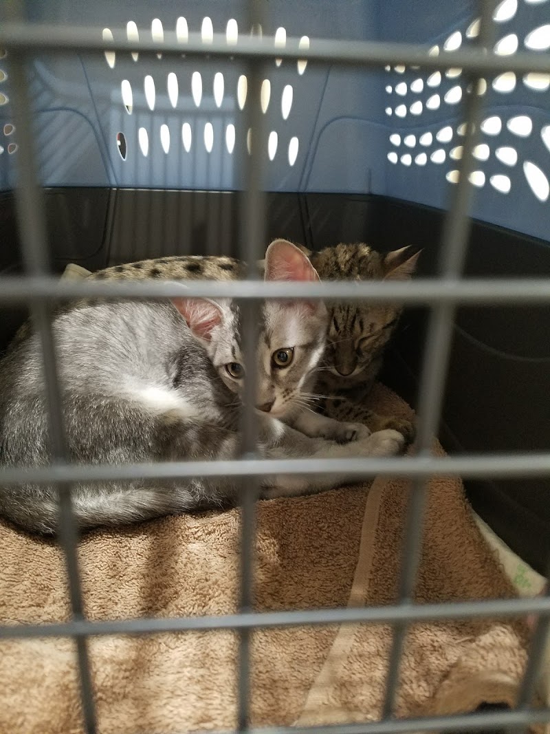 Shatto Veterinary Center