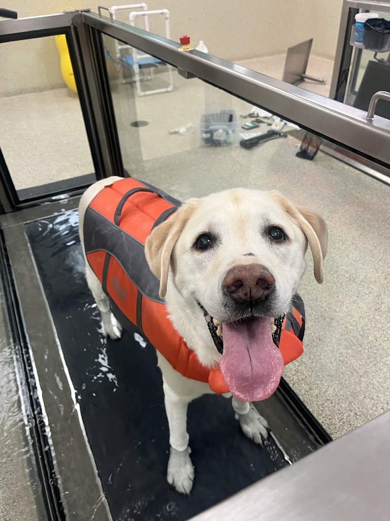 VCA Advanced Veterinary Care Center
