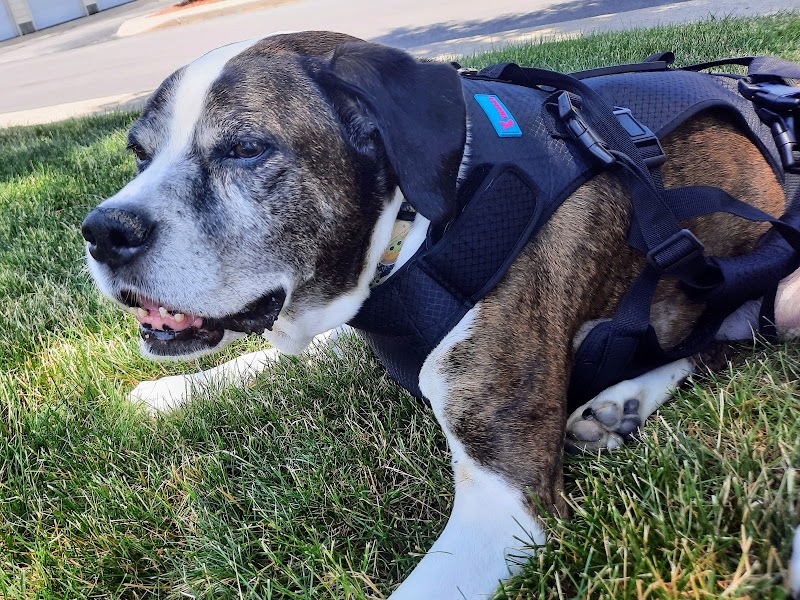 VCA Advanced Veterinary Care Center