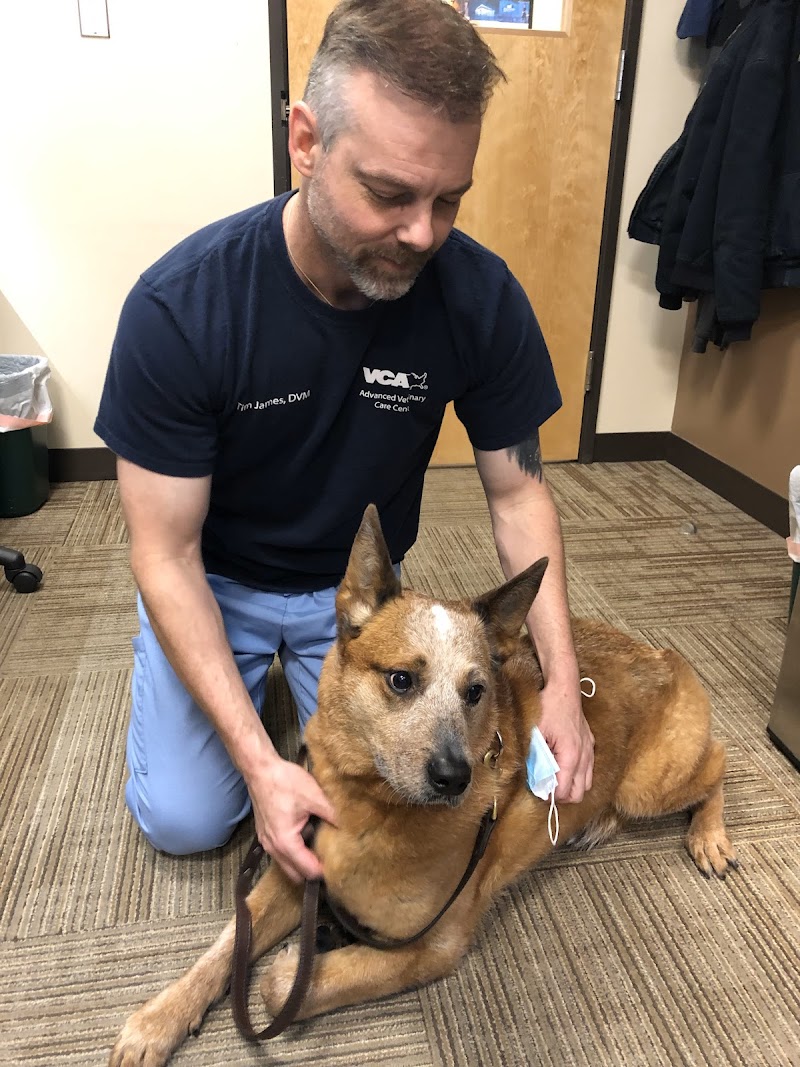 VCA Advanced Veterinary Care Center
