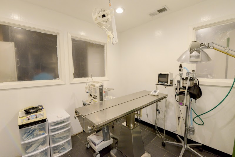 Story Road Animal Hospital