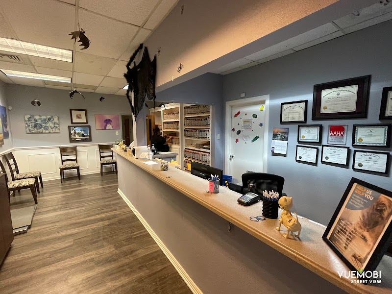 Eye Care for Animals - Austin
