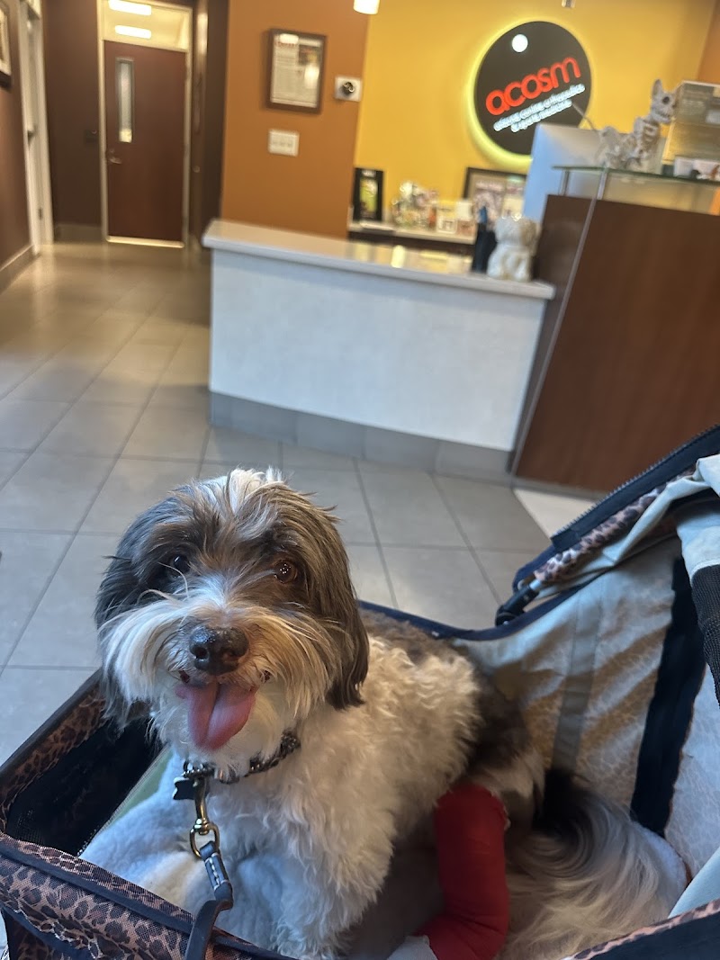 Arizona Canine Orthopedics & Sports Medicine