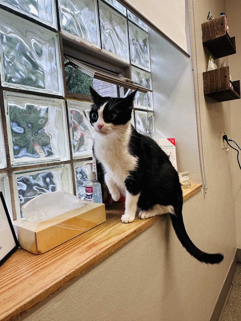 Queen Anne Animal Clinic