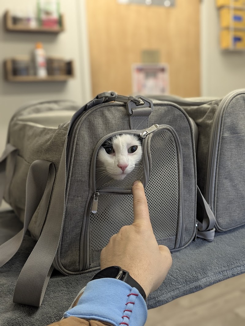 Queen Anne Animal Clinic