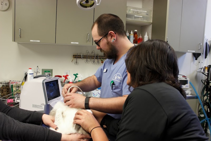 Queen Anne Animal Clinic