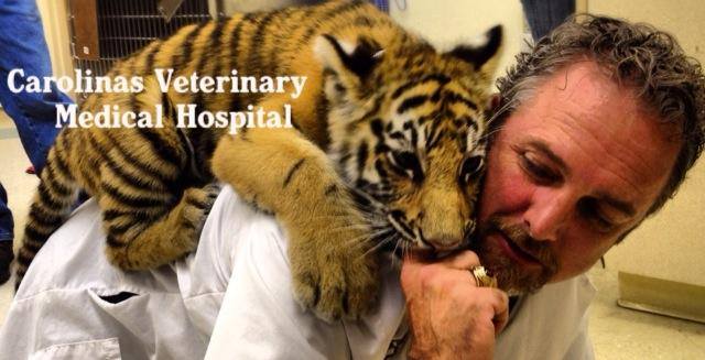 Carolinas Veterinary Medical Hospital - Charlotte