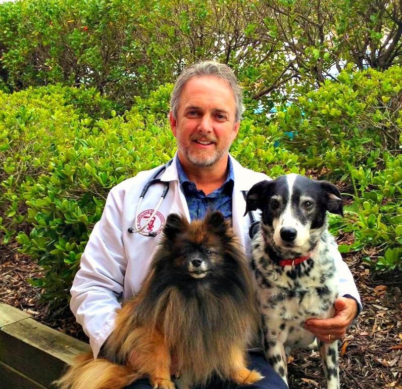 Carolinas Veterinary Medical Hospital