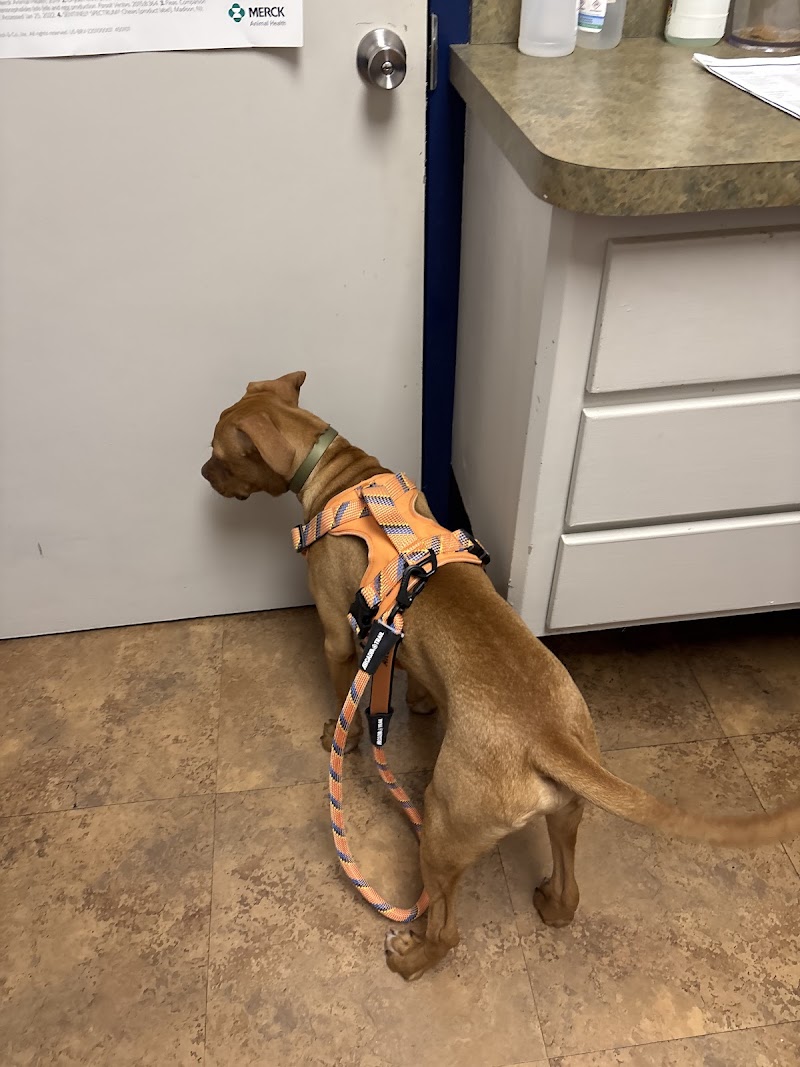 Neighborhood Veterinary Centers - NASA