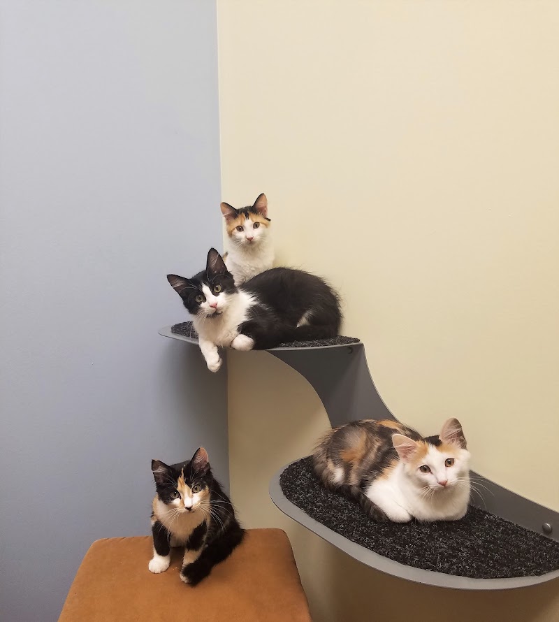 South Park Animal Hospital