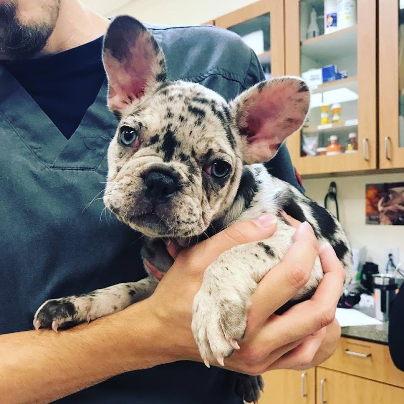 South Park Animal Hospital