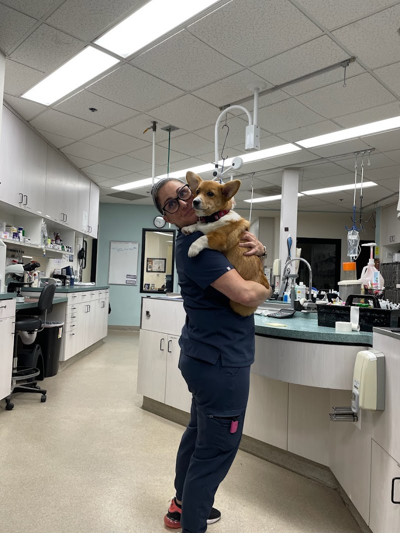 Escondido Veterinary Emergency