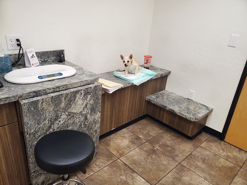 Scottsdale Veterinary Specialty and Emergency Center