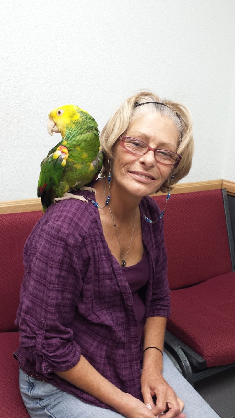 VCA Rancho San Diego Animal Hospital